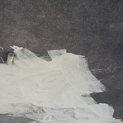 新竹抓漏工程